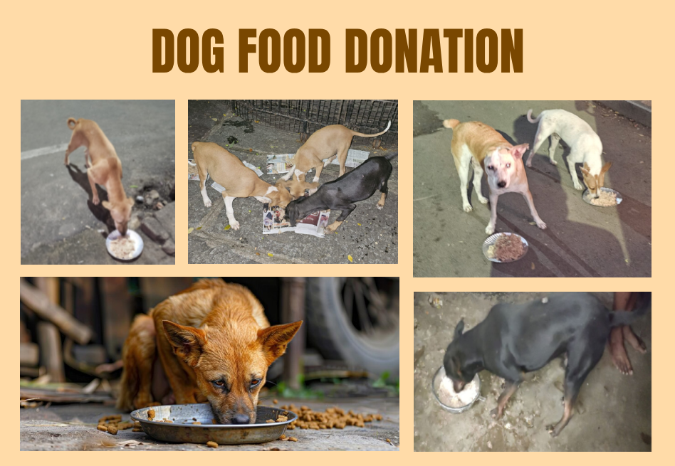 Dog Food Donation 