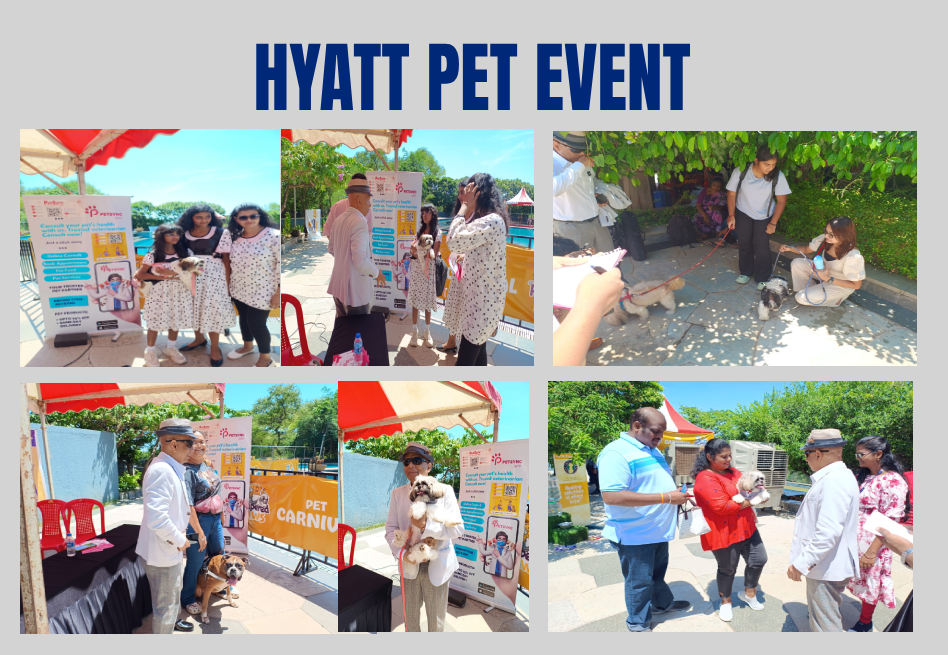 hyatt pet event